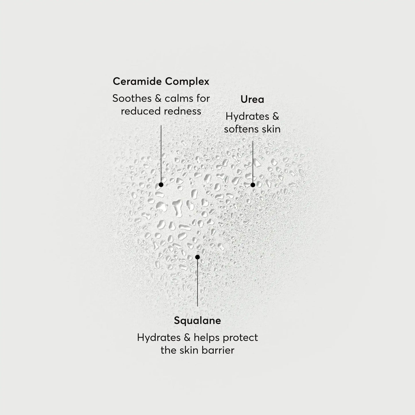 barrier-bounce-bi-phase-mist-r3 NATR-10167-Alt-Images-Barrier-Bounce-Bi-Phase-Toner-Mist_01.webp