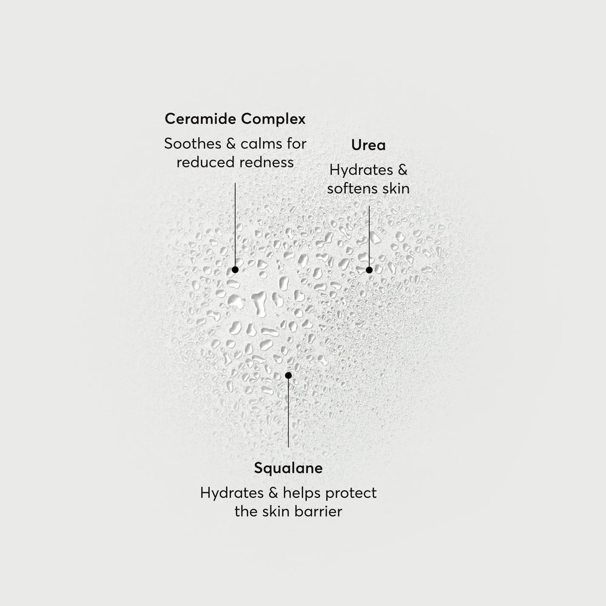 barrier-bounce-bi-phase-mist-r3 NATR-10167-Alt-Images-Barrier-Bounce-Bi-Phase-Toner-Mist_01.webp