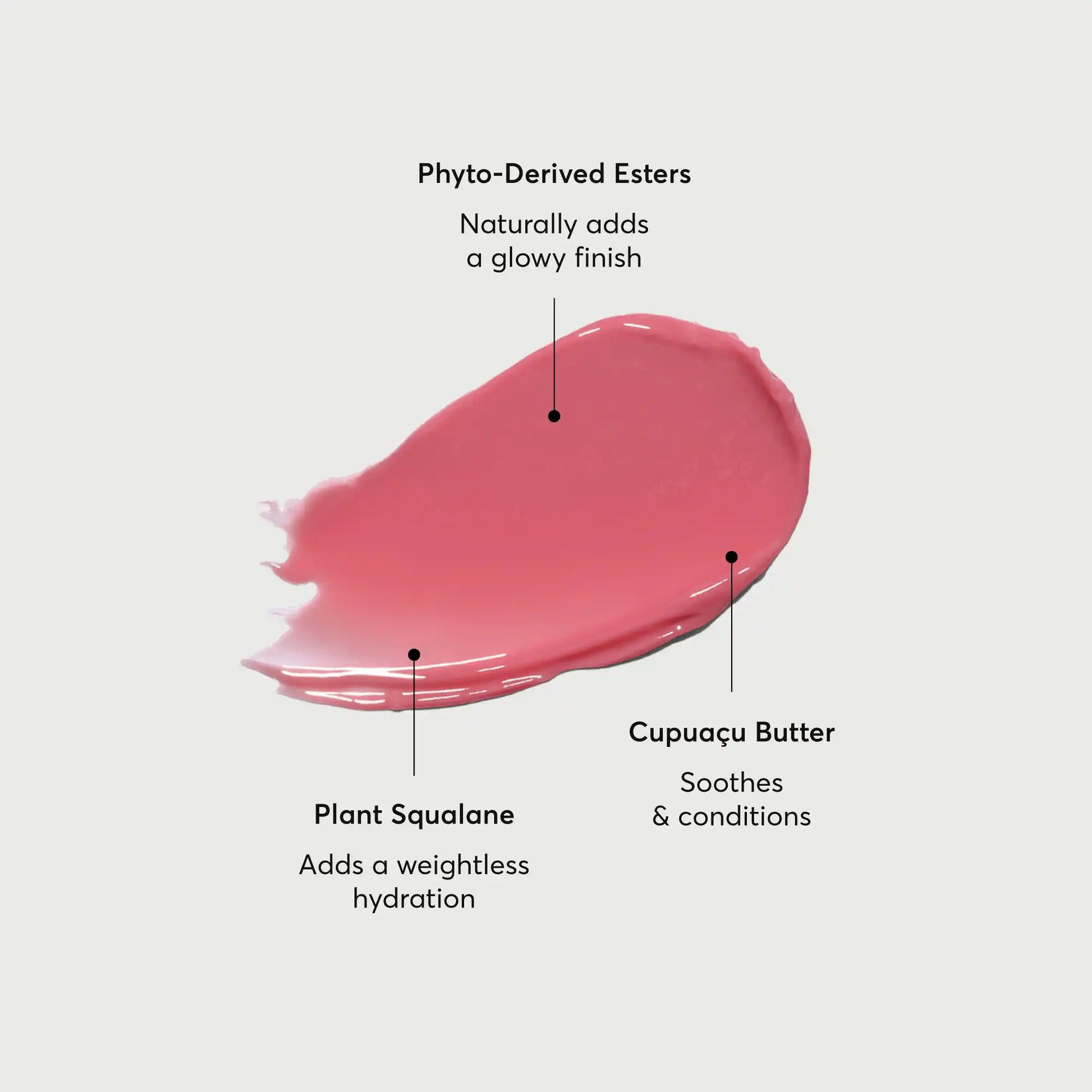 phyto-glow-lip-balm-petal-o6 NATR-60067-Alt-Images-Phyto-Glow-Lip-Balm-Petal-01.webp